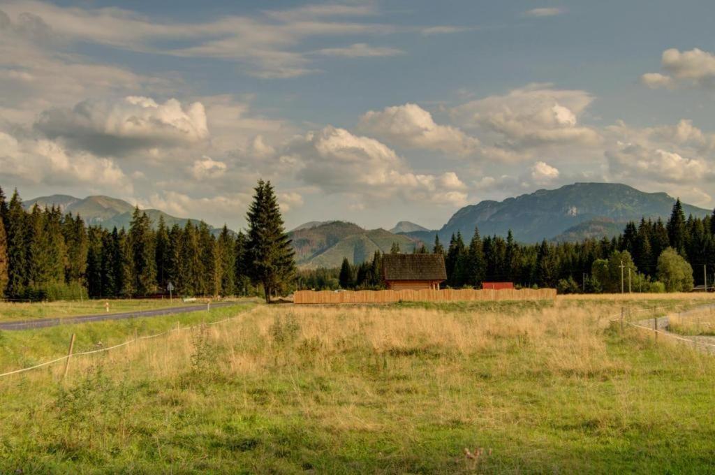 Domek Regionalny Baligowka Witów 外观 照片